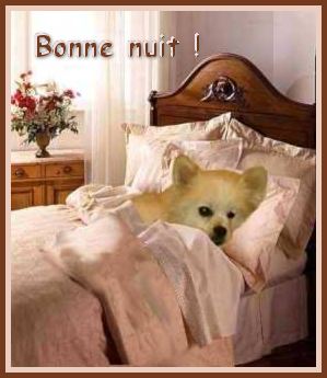 bonne nuit a tous