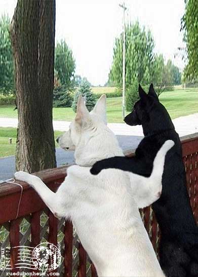 BoNnE Nuit a ToUs