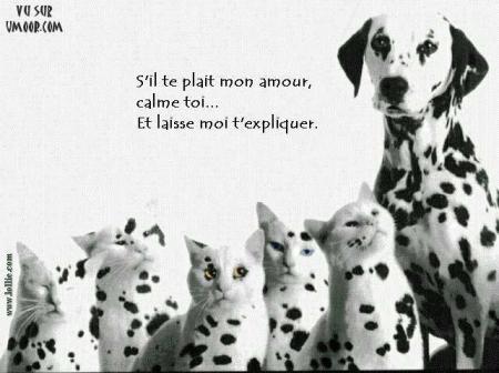 BoNjOuR A tOuS