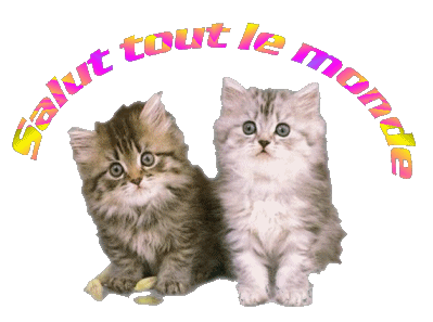 Quelles sont vos priorités?