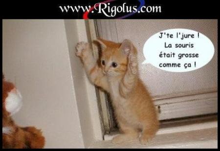 BoNnE Nuit a ToUs