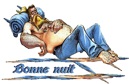 Bonne nuit a tous