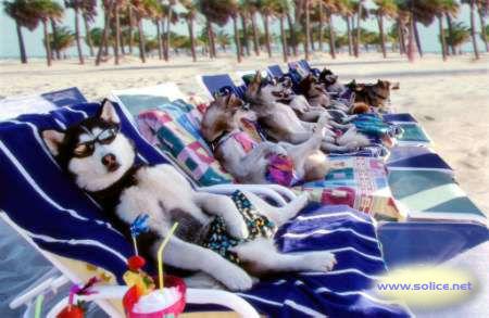 repos