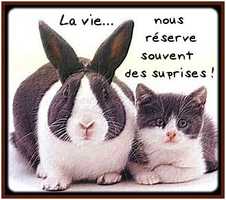 et oui lol