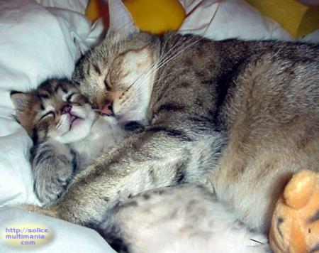 tendresse