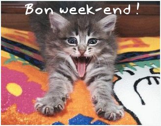 bonjour a vous tous