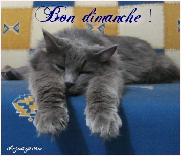 bonne journée