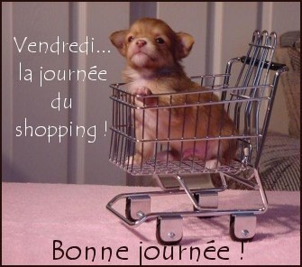 bonjour a tous et bonne journée
