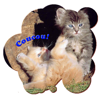 bonjour a tous et bon dimanche