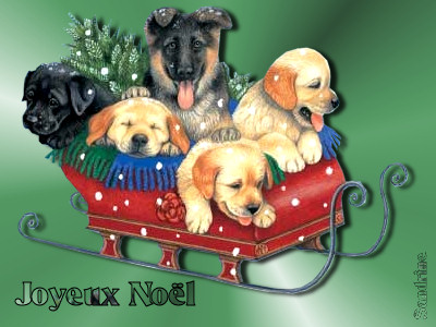 joyeux noël a vous tous