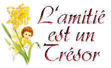 a mes amis