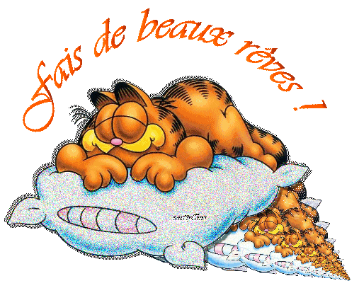 bonne nuit a tout mes ami(e)s du net
