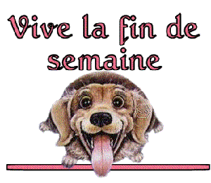 bonjour a tous